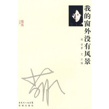 我的窗外没有风景