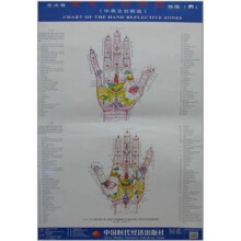 王大有全息手诊手疗挂图（四）（中英文对照版）