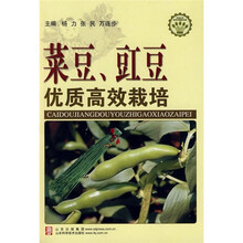 菜豆豇豆优质高效栽培