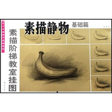 素描阶梯教室挂图：素描静物（基础篇）（改版）