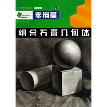 阶梯训练系列·美术基础教学阶梯训练初级教程：组合石膏几何体
