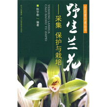 野生兰花）采集 保护与栽培