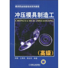 模具职业技能培训系列教程：冲压模具制造工（高级）
