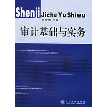 审计基础与实务