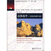 总统选举：美国政治的战略与构架
