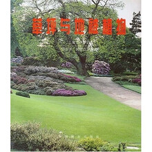 草坪与地被植物