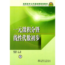 高职高专公共基础课规划教材:一元微积分暨线性代数初步