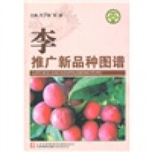 李推广新品种图谱