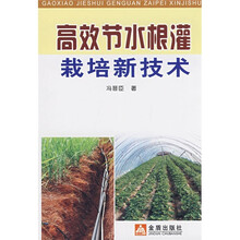 高效节水根灌栽培新技术