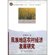 民族地区农村经济发展研究