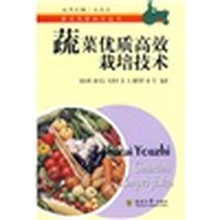 蔬菜优质高效栽培技术
