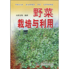 野菜栽培与利用