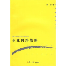 企业网络战略