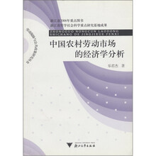 中国农村劳动市场的经济学分析