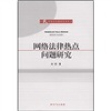网络法律热点问题研究