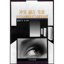 冲突融合发展：关于文化全球化和WTP的思考与对策