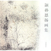 颛孙恩扬画集