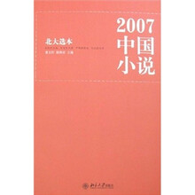 北大选本：2007中国小说