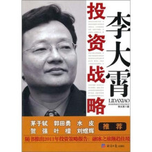 李大霄：投资战略