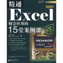 职业塑身计划：精通Excel 2007财会应用的15堂案例课