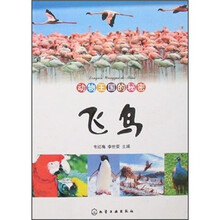 动物王国的秘密：飞鸟
