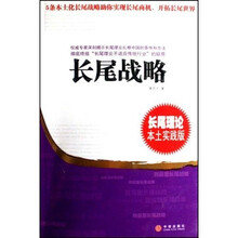 长尾战略：长尾理论（本土实践版）