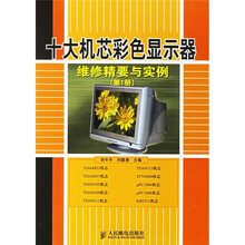 十大机芯彩色显示器维修精要与实例(第1册)