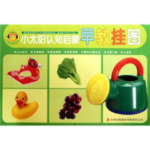 小太阳认知启蒙早教挂图