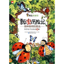 美绘科学馆·瓢虫历险记：各种各样的昆虫