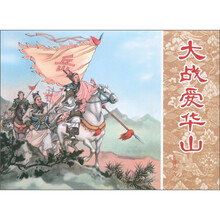 岳传：大战爱华山