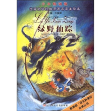 世界文学经典原著名译美绘本：绿野仙踪（少年畅销版）