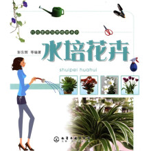 水培花卉