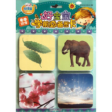 易读宝童年有声系列·好宝宝学前必备图卡:看图识字