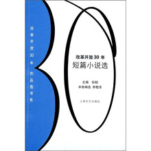 改革开放30年短篇小说选