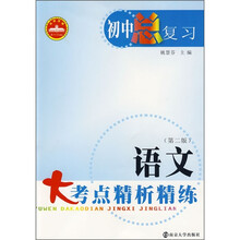 初中总复习:语文大考点精析精练(第2版)