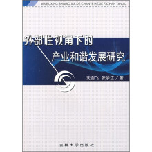 外部性视角下的产业和谐发展研究
