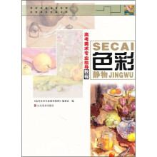 高考美术专业指导教程:色彩静物