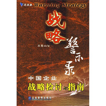 战略警示录：中国企业战略检讨与指南