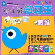 小小班学习王（思维幼儿园学前班专用）