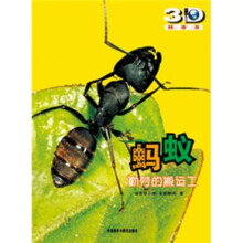 蚂蚁:勤劳的搬运工
