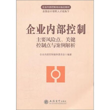 企业内部控制：主要风险点、关键控制点与案例解析