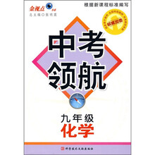 中考领航:化学(9年级)