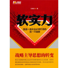 软实力：塑造一流企业必须打造的另一只翅膀