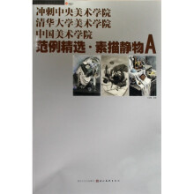 范例精选:素描静物A