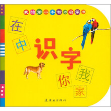 我的第一本智力启蒙书：识字