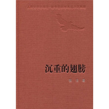 沉重的翅膀