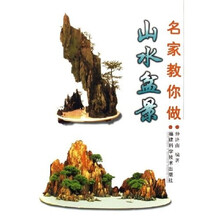 名家教你做山水盆景