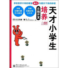 飞思精品智育馆：右脑开发培养天才小学生