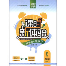 通城学典·课时新体验：数学（6年级下）（人教版）