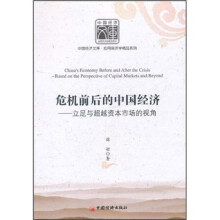 危机前后的中国经济：立足与超越资本市场的视角